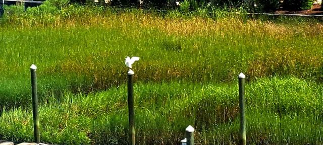 4409 Eastport Blvd Unit E7, Little River, SC 29566