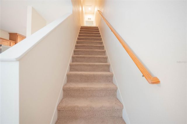 5828 NATURE TERRACE COVE, Tampa, FL 33617