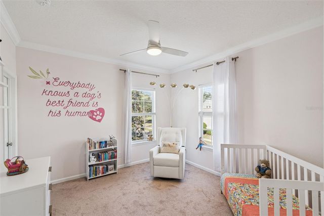 1116 TAPESTRY DRIVE, Celebration, FL 34747