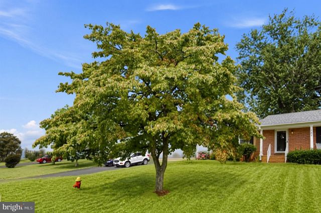 236 CHESTNUT DR, Culpeper, VA 22701