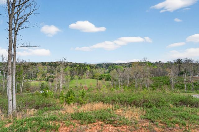 251 Mystic Drive, Ellijay, GA 30540