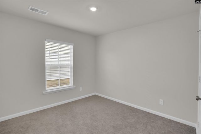 319 Secretariat Street, Lexington, SC 29073