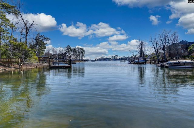 117 Bay Pointe Drive, Chapin, SC 29036