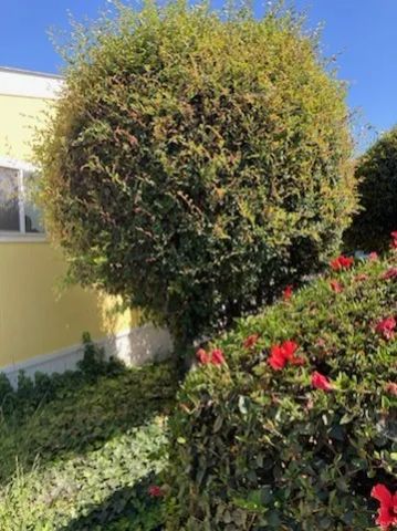 13120 Bradley 50, Sylmar, CA 91342