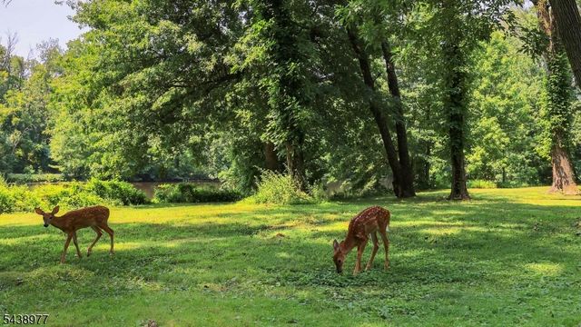 11 Munsee Dr, Cranford Twp., NJ 07016