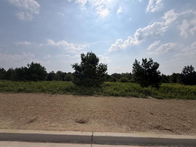 Lot 6 Homestead Lane, Smiths Station, AL 36877
