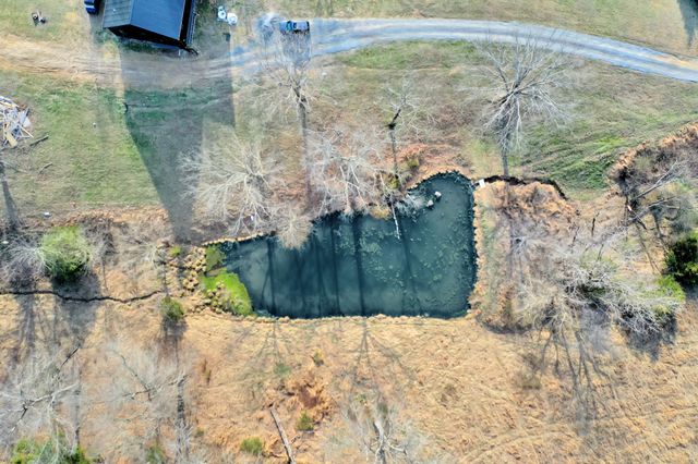 1041 Old Mount Vernon Rd, Bethpage, TN 37022