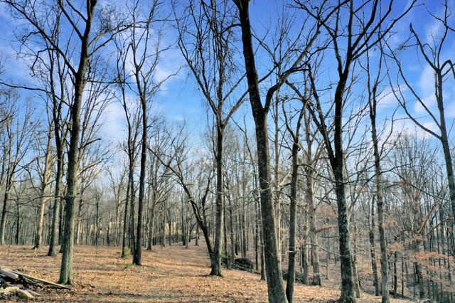 1041 Old Mount Vernon Rd, Bethpage, TN 37022