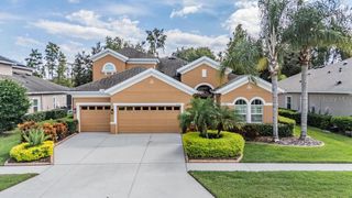 19402 AUTUMN CHASE COURT, Land O Lakes, FL 34638