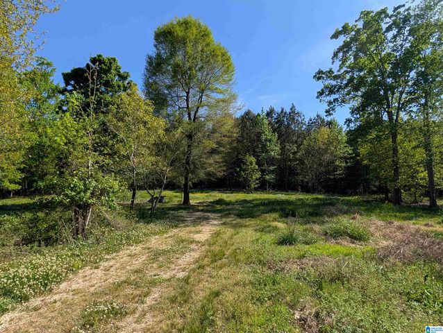 2091 COUNTY ROAD 19, Piedmont, AL 36272