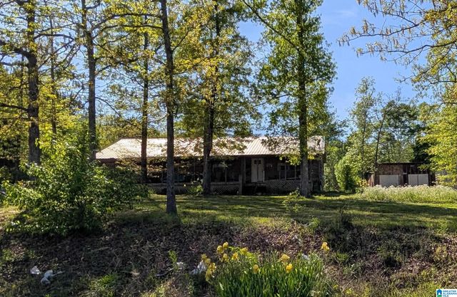 2091 COUNTY ROAD 19, Piedmont, AL 36272