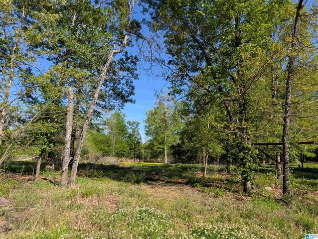 2091 COUNTY ROAD 19, Piedmont, AL 36272