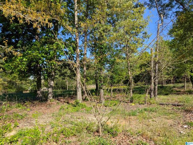 2091 COUNTY ROAD 19, Piedmont, AL 36272
