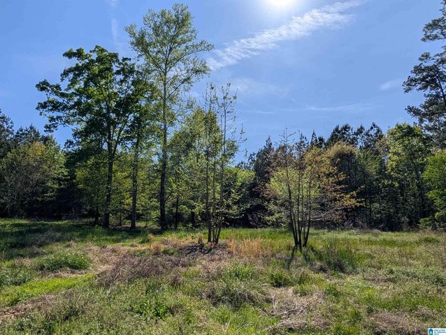 2091 COUNTY ROAD 19, Piedmont, AL 36272