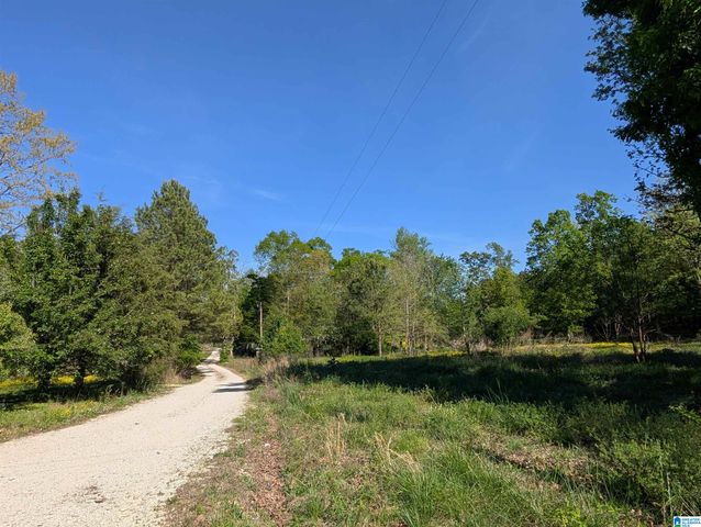 2091 COUNTY ROAD 19, Piedmont, AL 36272