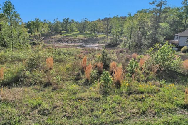 8 Lake Shore Lane, Huntsville, TX 77320