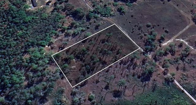 156 PLACE, Dunnellon, FL 34432