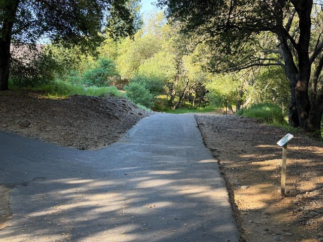 11476 Hesperian Circle, Gold River, CA 95670