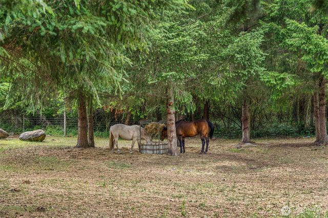 14628 SE Vail Cut Off Road, Rainier, WA 98576