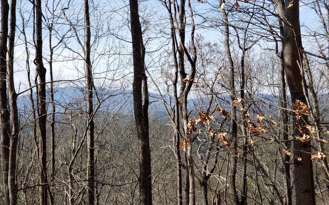 LT 28A Sassafras Ridge Road, Copperhill, TN 37317