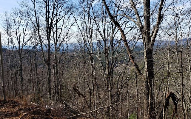 LT 28A Sassafras Ridge Road, Copperhill, TN 37317