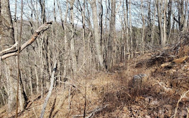 LT 28A Sassafras Ridge Road, Copperhill, TN 37317