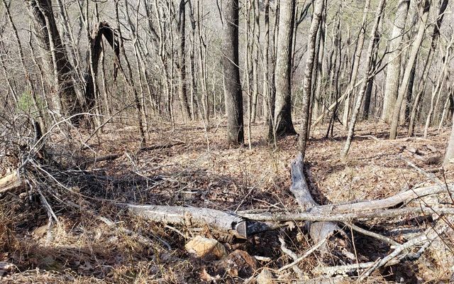 LT 28A Sassafras Ridge Road, Copperhill, TN 37317