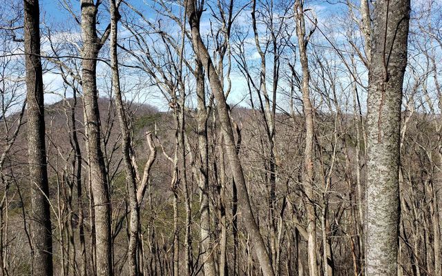 LT 28A Sassafras Ridge Road, Copperhill, TN 37317