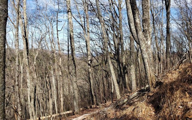 LT 28A Sassafras Ridge Road, Copperhill, TN 37317