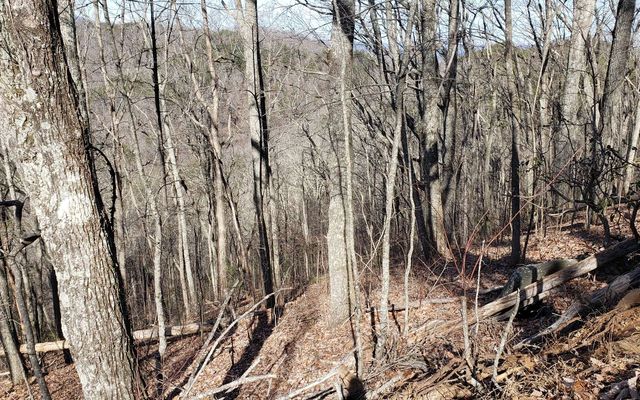 LT 28A Sassafras Ridge Road, Copperhill, TN 37317