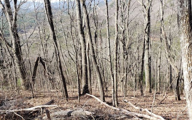 LT 28A Sassafras Ridge Road, Copperhill, TN 37317