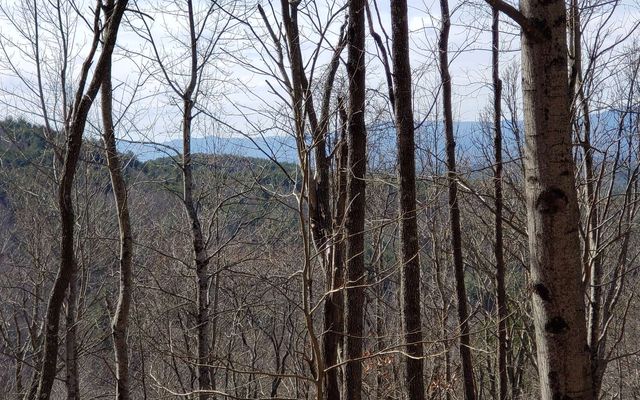 LT 28A Sassafras Ridge Road, Copperhill, TN 37317