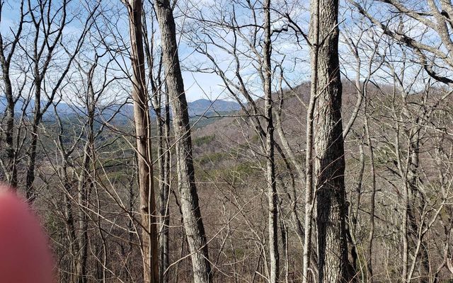 LT 28A Sassafras Ridge Road, Copperhill, TN 37317