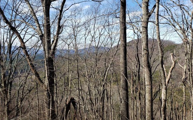 LT 28A Sassafras Ridge Road, Copperhill, TN 37317