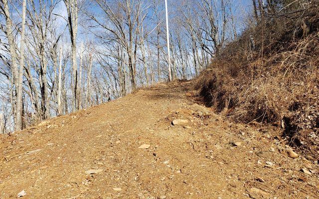 LT 28A Sassafras Ridge Road, Copperhill, TN 37317