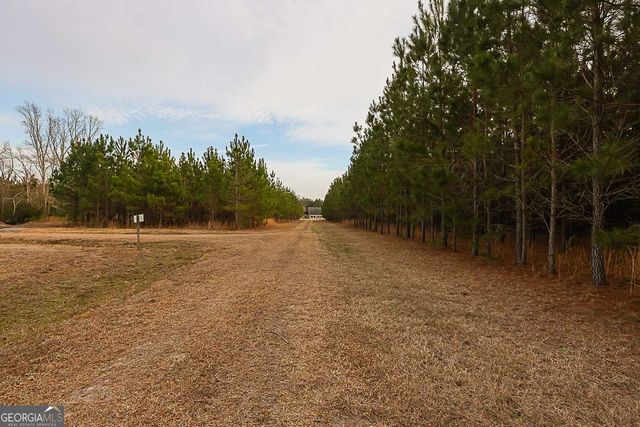 307 Chester Thomas Road, Springfield, GA 31329