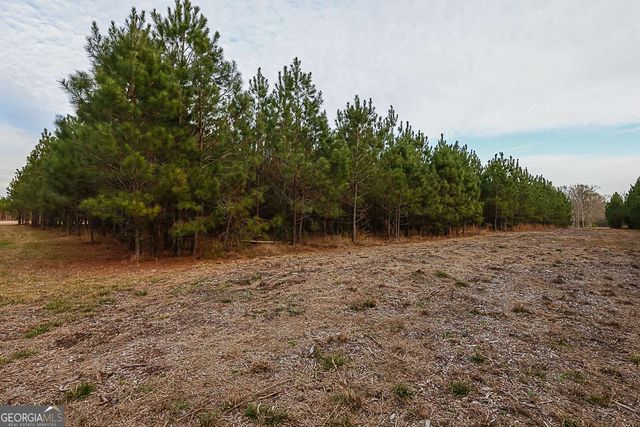 307 Chester Thomas Road, Springfield, GA 31329