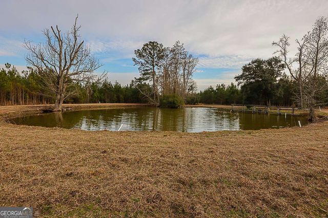 307 Chester Thomas Road, Springfield, GA 31329