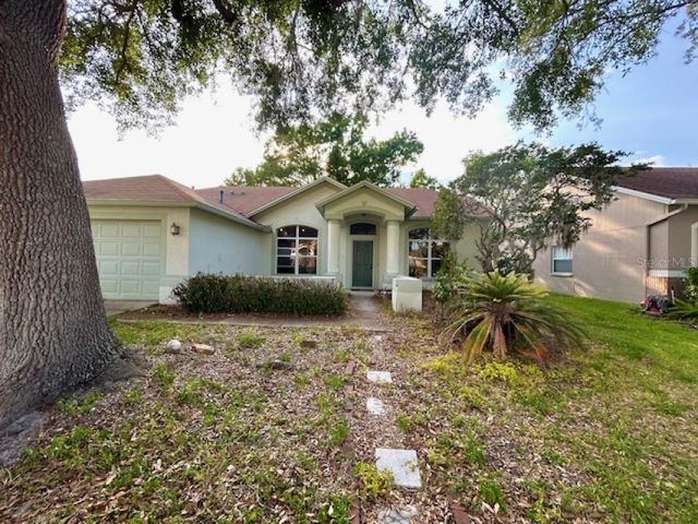 1135 BIG SKY DRIVE, Wesley Chapel, FL 33543