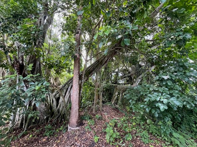 9538 171st Street N, Jupiter, FL 33478