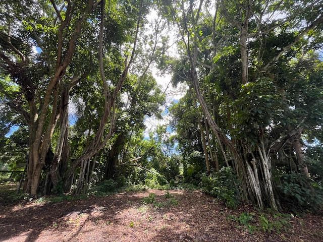 9538 171st Street N, Jupiter, FL 33478