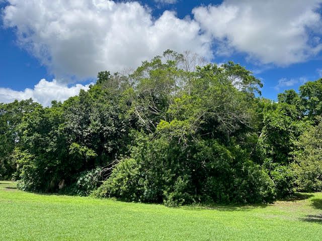 9538 171st Street N, Jupiter, FL 33478