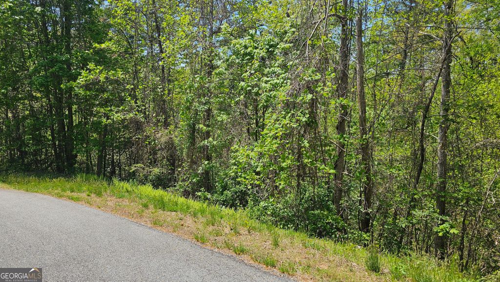 0 Heavenly Circle 19, Clayton, GA 30525 — photo 2