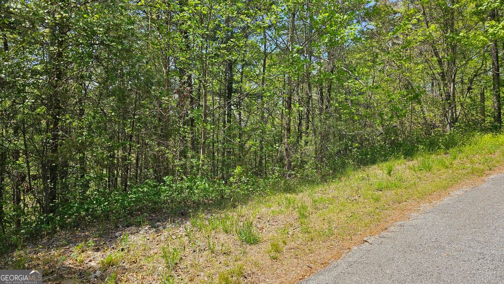 0 Heavenly Circle 19, Clayton, GA 30525 — photo 3
