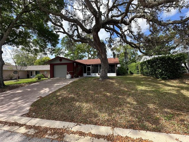10619 MIRA VISTA DRIVE, Port Richey, FL 34668