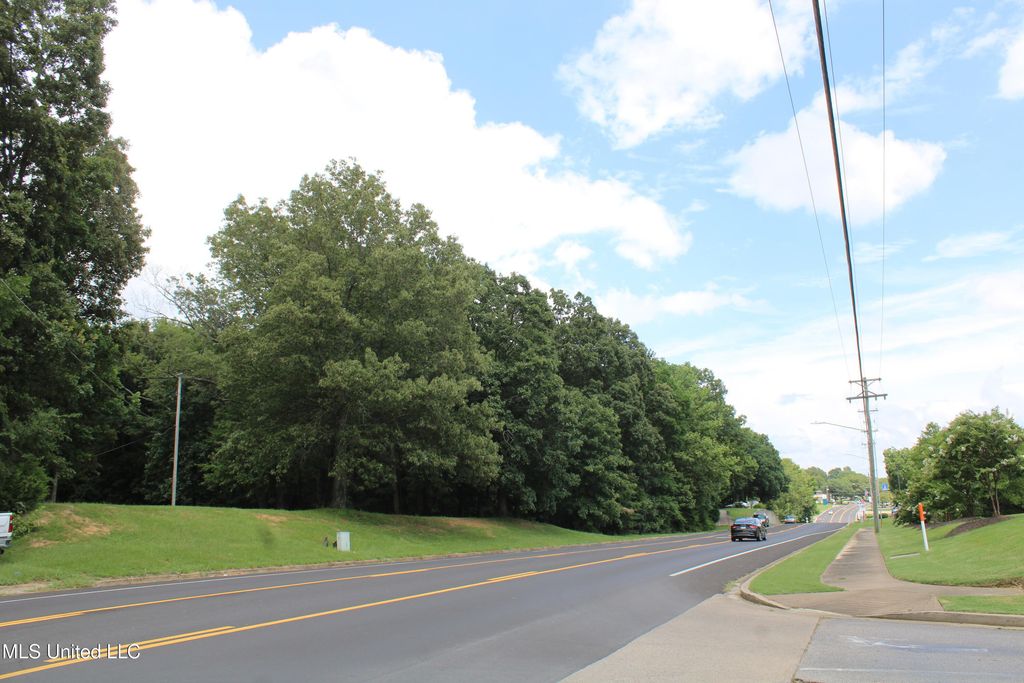 8654 Goodman Road, Olive Branch, MS 38654 — photo 2