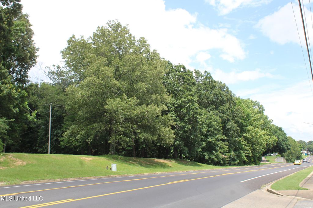 8654 Goodman Road, Olive Branch, MS 38654 — photo 3