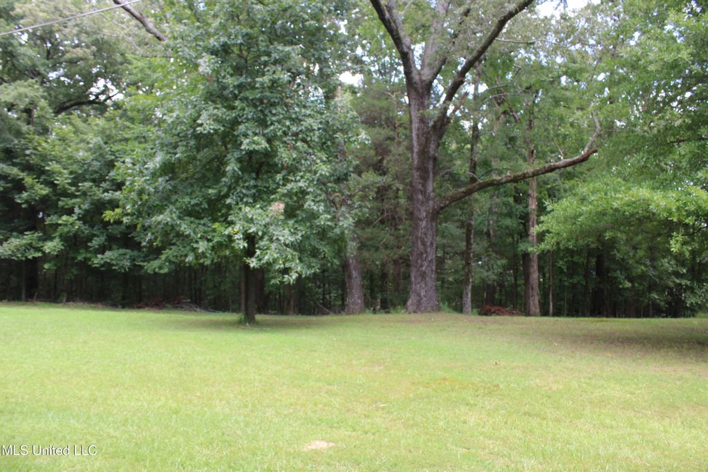 8654 Goodman Road, Olive Branch, MS 38654 — photo 5