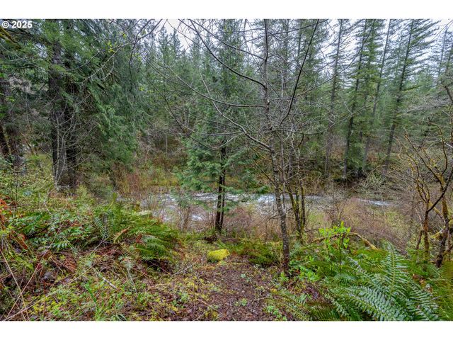 1261 MATHEWS Rd, Washougal, WA 98671