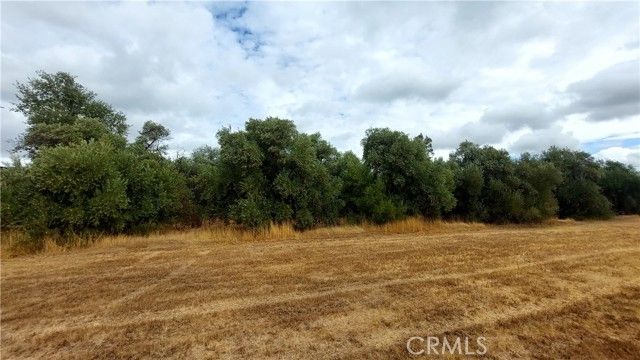 1547 Blackburn, Corning, CA 96021